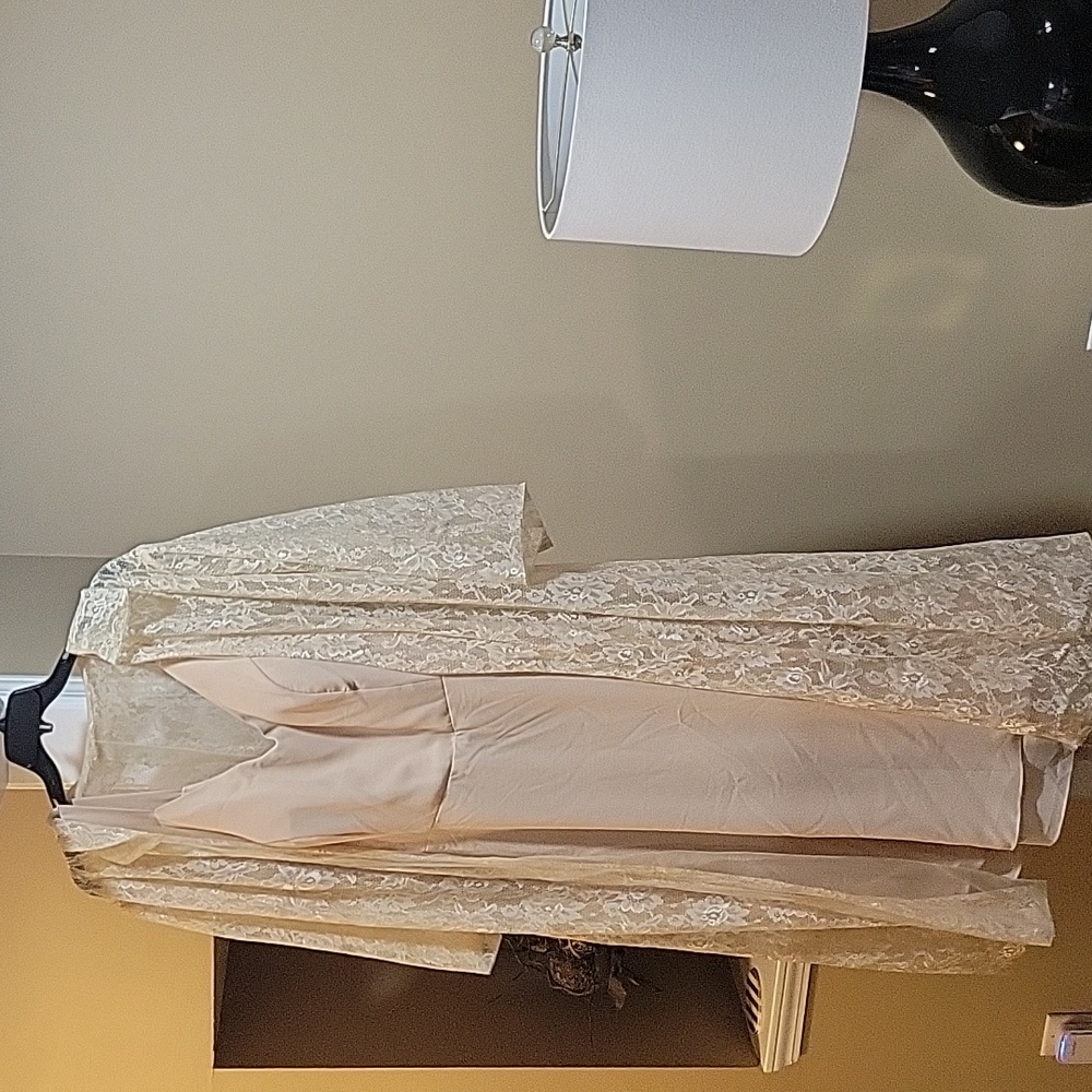 Women's plus elegant dress with lace jacket